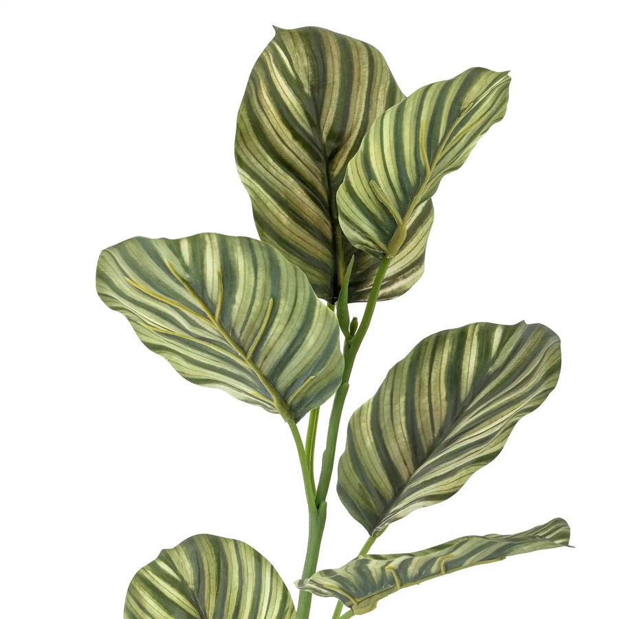 Bloomingville Zebrablad Kunstblume grün mit Streifen im skandinavischen Design - Bild 1