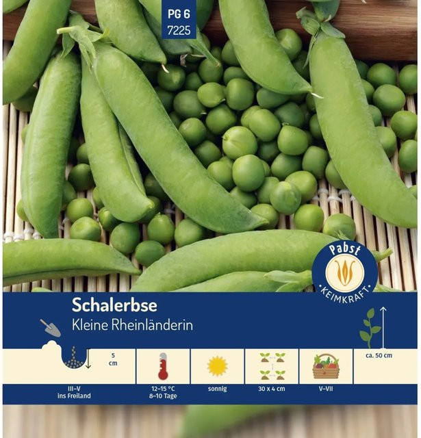 Pabst Keimkraft Schalerbse Kleine Rheinländerin Saatgut sehr früh und süß - Bild 1