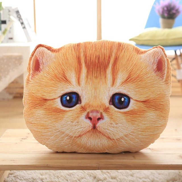 Yiran Health & Beauty Scottish Fold Katze Plüschkissen, Plüschtier, 40cm - Bild 1