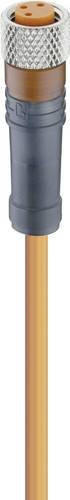 Lumberg Automation 11294-10 Sensor-Aktor-Steckverbinder M8 Buchse gerade orange 3-polig 2,00 m - Bild 1