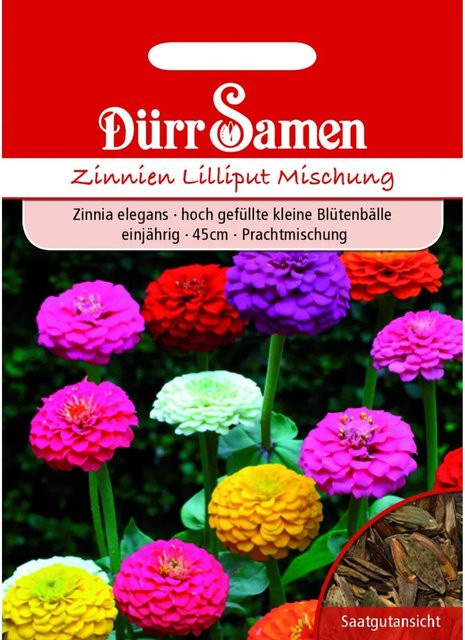 Dürr Zinnien Lilliput Prachtmischung Einjähriges Saatgut für Garten und Beete - Bild 1
