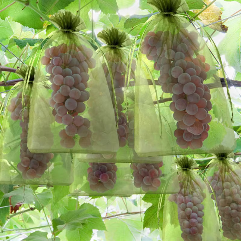50 Stück Organza Obst Netztaschen aus Polyester mit Kordelzug für Garten und Verpackung in Schwarz und Grün - Bild 3