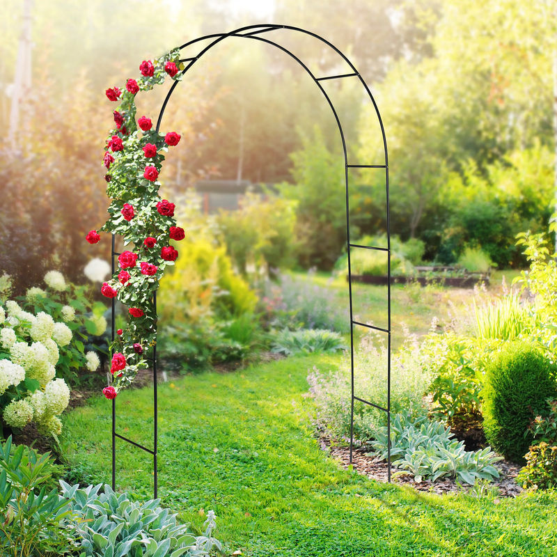 Rosenbogen Viva Domo Kletterhilfe für Gartenpflanzen in Schwarz oder Grün - Bild 2