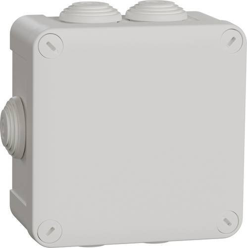 Schneider Electric IMT05025 Abzweigdose in Weiß, B/T/H: 10,5 x 5,5 x 5,5 cm - Bild 1