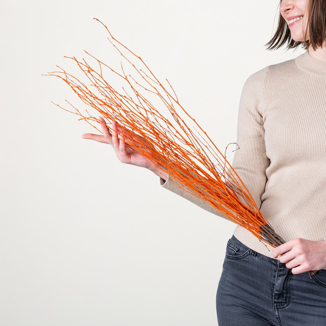 Orange gefärbte Birkenzweige von BLUME2000 im 1 Bund für deine Osterdeko - Bild 1