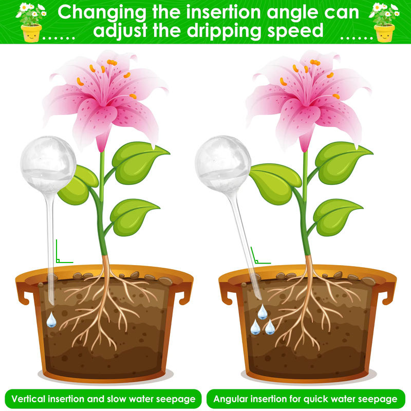10er Set Automatische Bewässerungssystem Tropf Bewässerung Stakes aus transparentem PVC für Blumen mit 60ml und 250ml Füllmenge - Bild 2