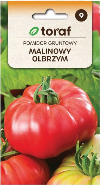 TORAF Himbeer-Riesenkerne Tomatensamen rote Sorte 0,5 g - Bild 1