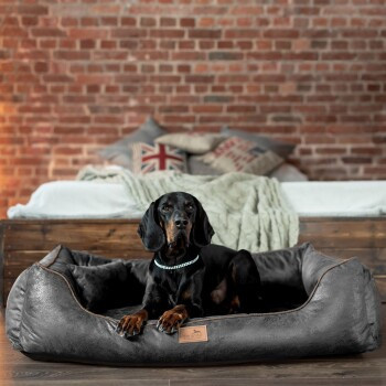Tierlando ALBERTO ORTHO Orthopädisches Hundebett mit Schaumstoff, Velours und Kunstleder, Schwarz/Graphit, B: 150 cm, T: 100 cm, H: 25 cm - Bild 2