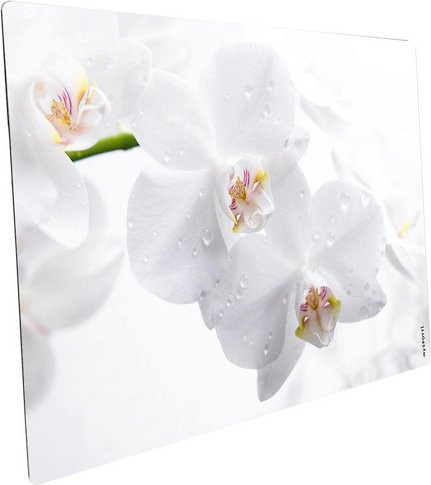 mySPOTTI Mini-Spritzschutz Aqua-Orchid aus Aluverbund in Weiß, B: 59,0 cm, H: 41,0 cm - Bild 1