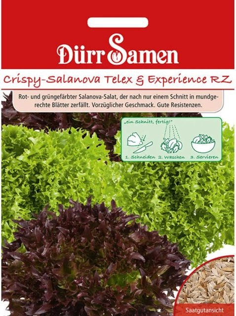 Dürr Samen Crispy-Salanova Telex + Experience Rz Saatgut für den Gemüsegarten, mehrfarbig - Bild 1