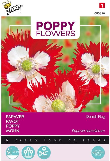 Arborix Buzzy Poppy Mohnblumen Samen für den Garten, 0,75 g - Bild 1