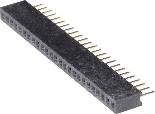 BKL Electronic Buchsenleiste Standard Schwarz mit 1 Reihe und 10 Polen - Bild 1