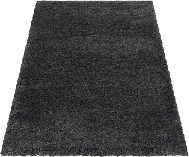 Ayyildiz Hochflorteppich Fluffy Shaggy in Grau B: 120 cm, L: 170 cm - Bild 1
