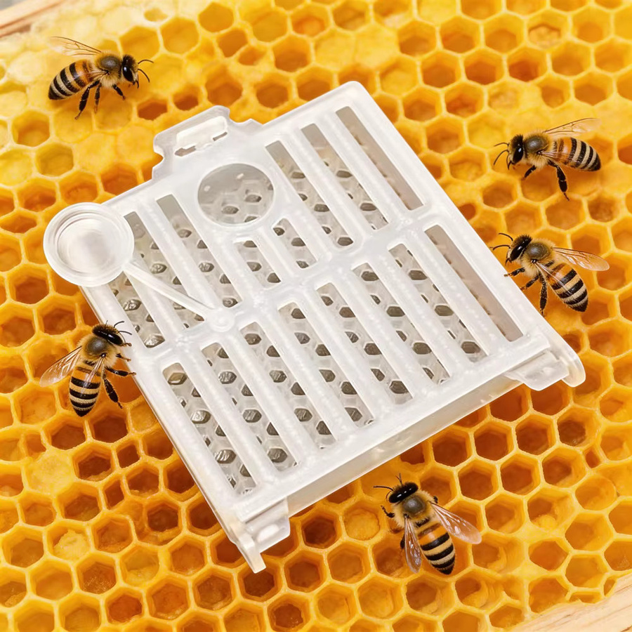 Quadratischer Bienenköniginnen-Käfig von Adhere To Fly in Weiß und Transparent für den Postversand von Bienenköniginnen und als Imkerwerkzeug - Bild 2