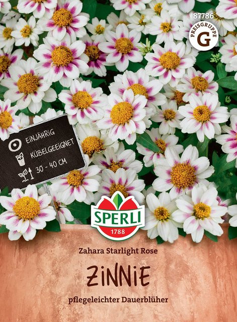 SPERLI Zinnien-Samen Zahara Starlight Rose in Weiß - Bild 1