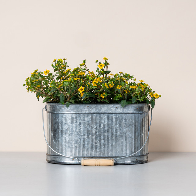 Oval Zinkwanne BLUME2000 Grau Matt B: 26 cm, T: 15 cm, H: 15 cm - Bild 1