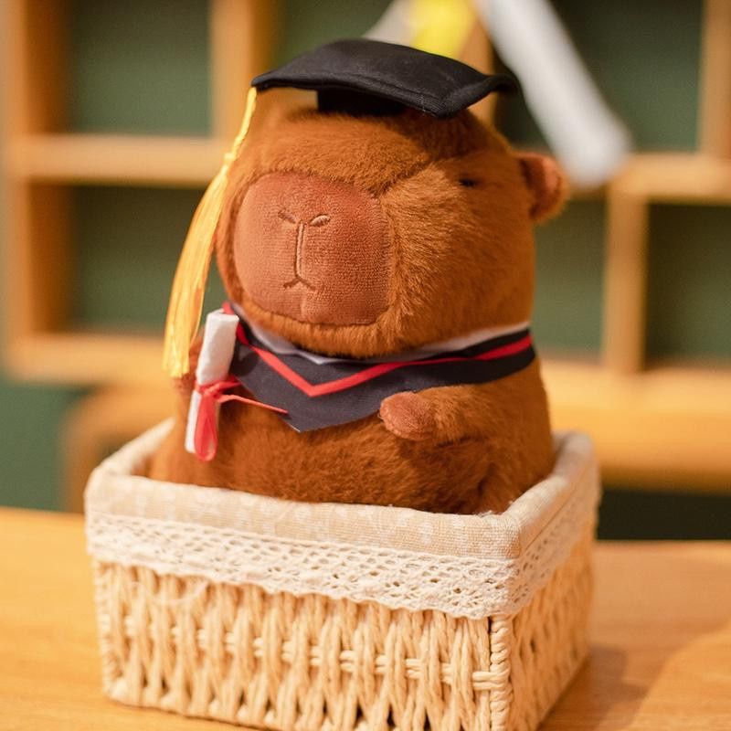 Pangcangshu Capybara Stofftier mit Doktorhut Plüsch 23cm - Bild 3