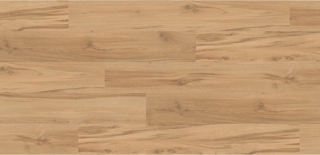Kaindl Excellent Laminat 8 mm Eiche Desert in Braun in Holzoptik - Bild 1