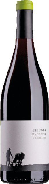 Alexander Pflüger Pinot Noir Rotwein, Pfalz, 2023, trocken, 0,75 l - Bild 1