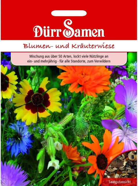 Dürr Samen Blumen- und Kräuterwiese mit 50 Arten ein- und mehrjährigem Saatgut für Garten und Rasenflächen - Bild 1