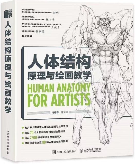Menschliche Anatomie für Künstler: Menschliche Körperstruktur Prinzip und Malunterricht Selbststudienlehrbuch Kunstsammlung A von 肖玮春 - Bild 1