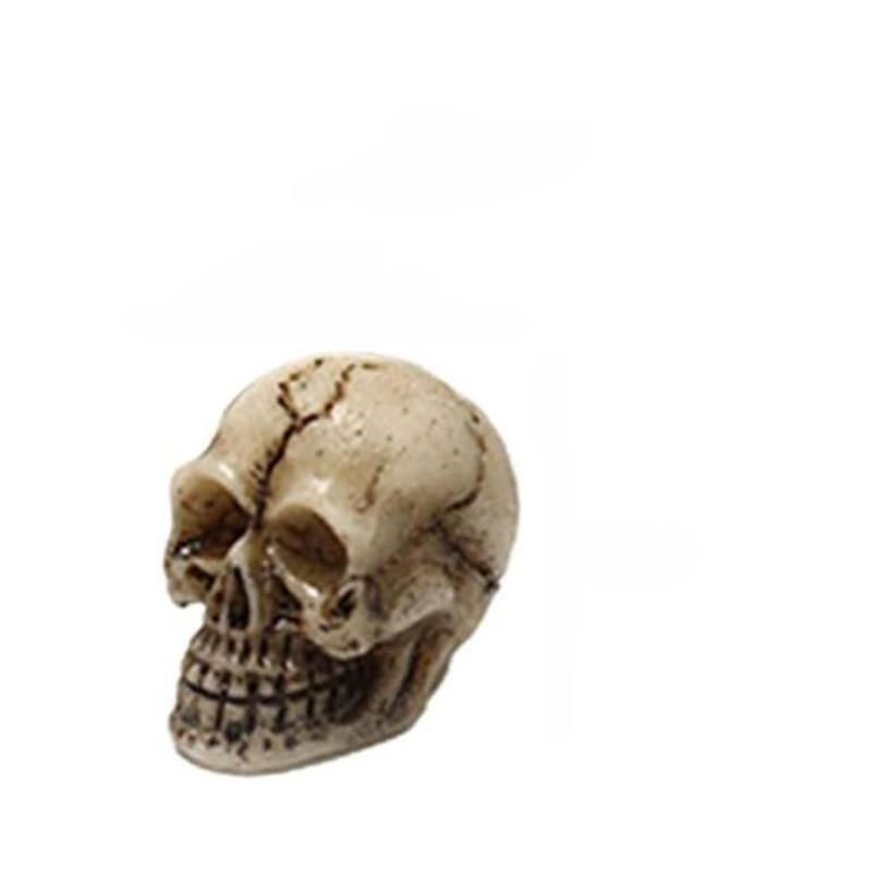 Chenxiaogang Mini-Schädel aus Kunstharz in Beige als Halloween-Dekoration für Haus und Garten - Bild 8