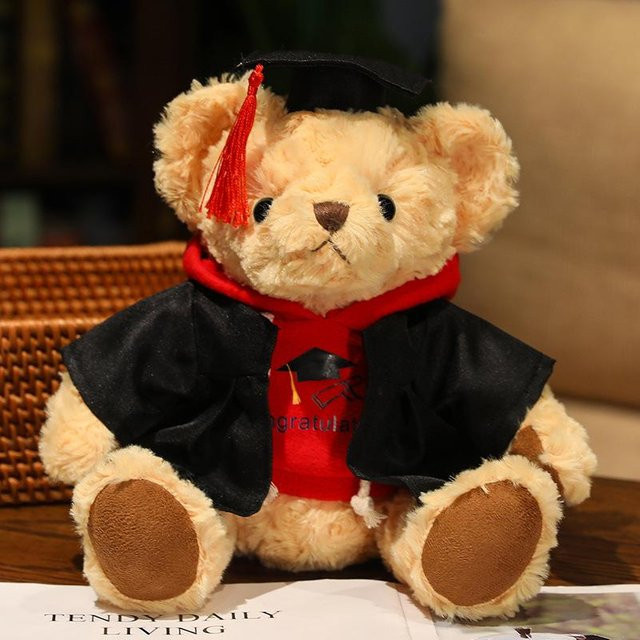 Yiran toy Hoodie Teddybär, Plüschtier, 26cm, ab 14 Jahren - Bild 1