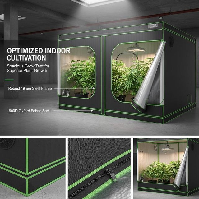 Growbox Indoor-Grow-Zelt aus schwarzem 600D Oxford-Gewebe mit 19 mm Stahlrahmen, B/T/H: 305 x 305 x 203 cm - Bild 1