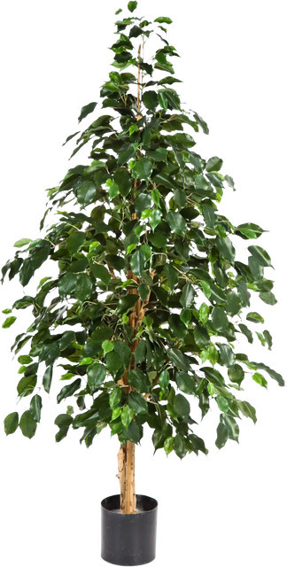 Künstlicher Ficus Katja von artplants in Grün, Höhe: 180 cm - Bild 1