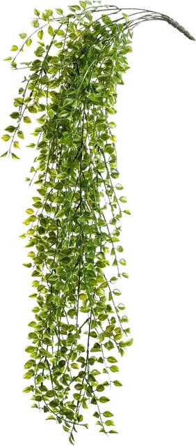 Künstlicher Hänge Kletterficus Keno von artplants in Grün, Höhe: 80 cm - Bild 1