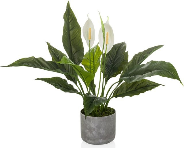 hjh OFFICE Kunstpflanze Spathiphyllum als Tischdeko in Grün, Weiß und Grau aus Kunststoff - Bild 1