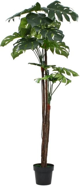 Künstliche Monstera Fensterblatt Pflanze von furnicato in Grün mit Topf, Höhe: 170 cm - Bild 1