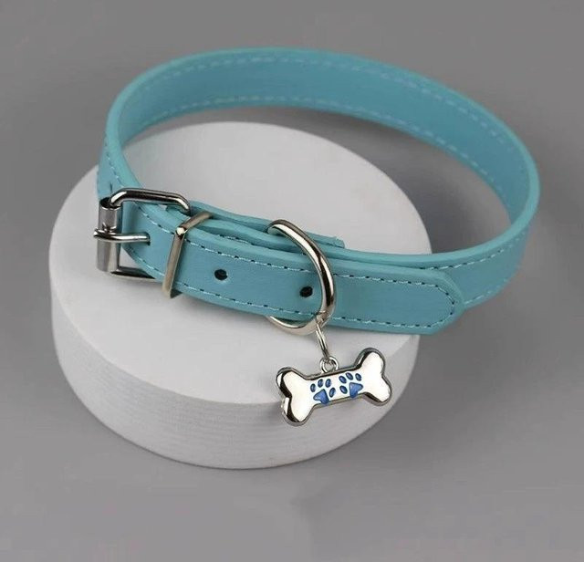 Choker Halsband, Bunt, Leder, Messing, Damen - Bild 1