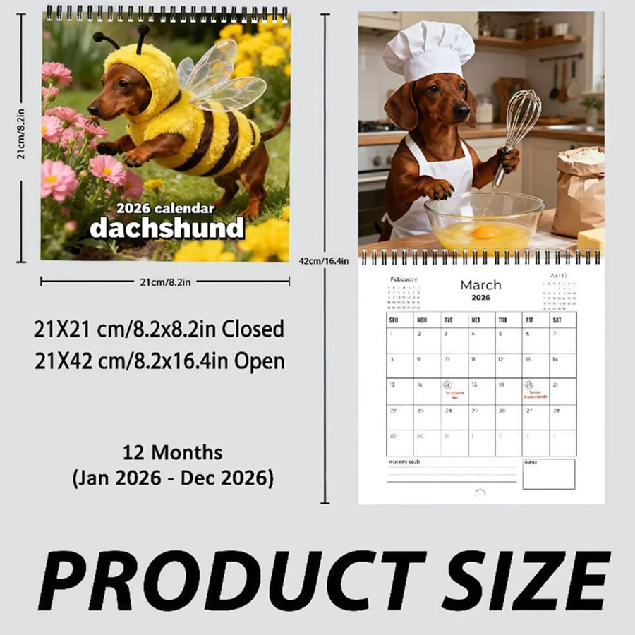 Wandkalender 2026 mit Dackel Motiv als 12-Monatsplaner in Mehrfarbig - Bild 5