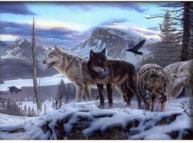 FIYO DIY 5D Diamantgemälde Wolf Mosaik-Set mit runden Steinen in Dunkelrosa und Multicolour, Breite: 50 cm, Höhe: 70 cm - Bild 1