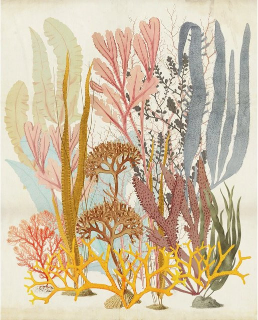 Komar Fototapete Catchy Corals Vlies Multicolor B/H: 200 x 250 cm - Bild 1
