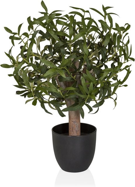hjh OFFICE Kunstpflanze Olive in Grün aus Kunststoff für den Tisch - Bild 1