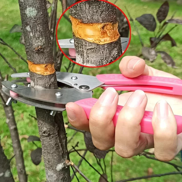 Edelstahl Pfropfen-Schere in Rot für Garten und Obstbäume zum Schneiden und Schälen von Rinde - Bild 1