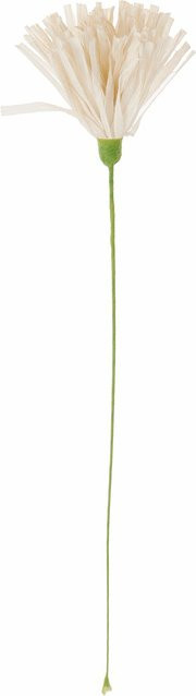 Rico Design Papierblume Chrysamtheme in Creme aus Papier - Bild 1