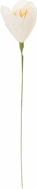Rico Design Papierblume Narzisse in Offwhite - Bild 1
