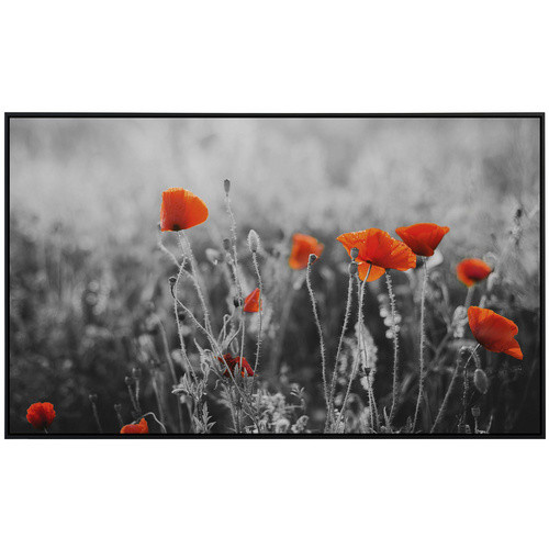 papermoon EcoHeat Infrarotheizung Rote Mohnblumen Matt-Effekt Bunt mit App-Steuerung und Überhitzungsschutz - Bild 2