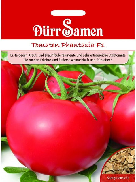 Dürr Tomaten Phantasia F1 Saatgut - Bild 1
