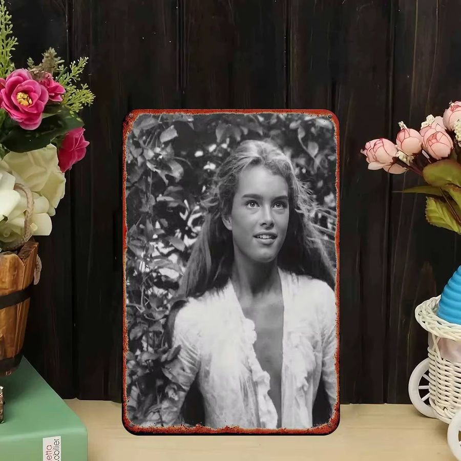 Vintage Metall-Blechschild CIFBUY mit botanischem Motiv und Dame in Mehrfarben - Bild 3