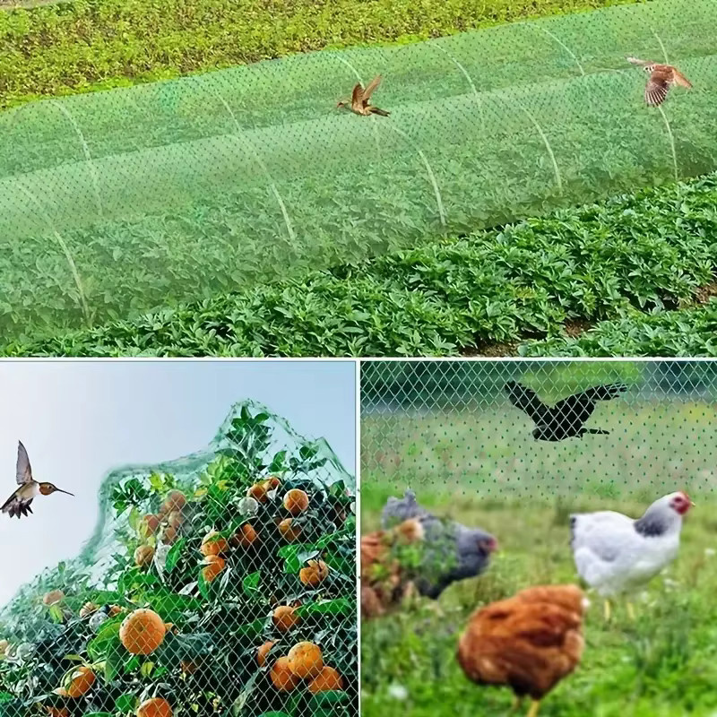 Grünes Gartennetz als Pflanzenschutz gegen Vögel und Tiere für Gemüse- und Ziergärten - Bild 3