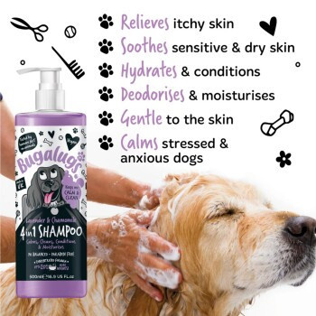 Bugalugs Hundeshampoo 4in1 Lavendel & Kamille, 500 ml - Bild 5