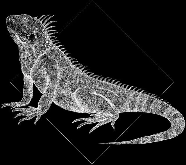 Komar Wandbild Iguana Black, Breite: 50 cm, Höhe: 70 cm - Bild 1