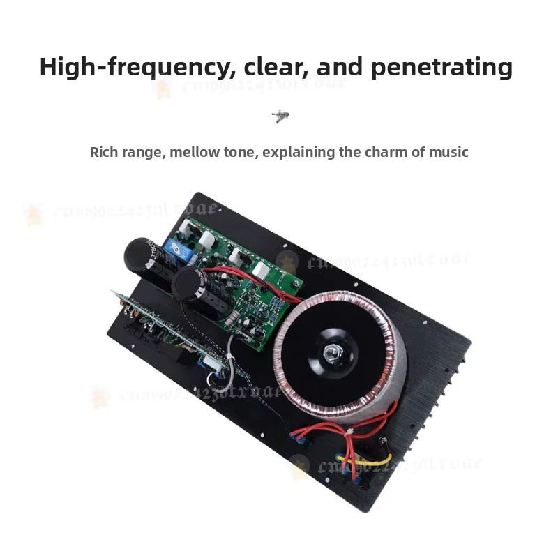 300W Hochleistungs-Subwoofer-Verstärkerplatine in Schwarz für 15 Zoll Aktiv-Subwoofer - Bild 2