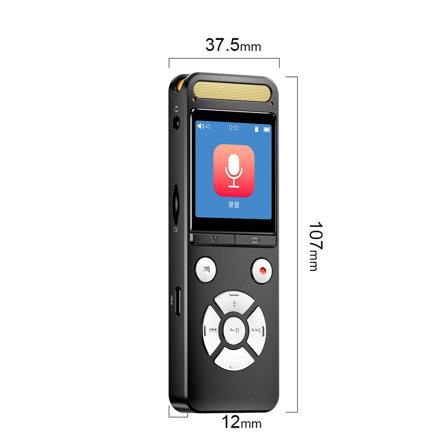 Famue Voice Recorder in Schwarz für Musikaufzeichnung und Klangbearbeitung in Studioqualität - Bild 4
