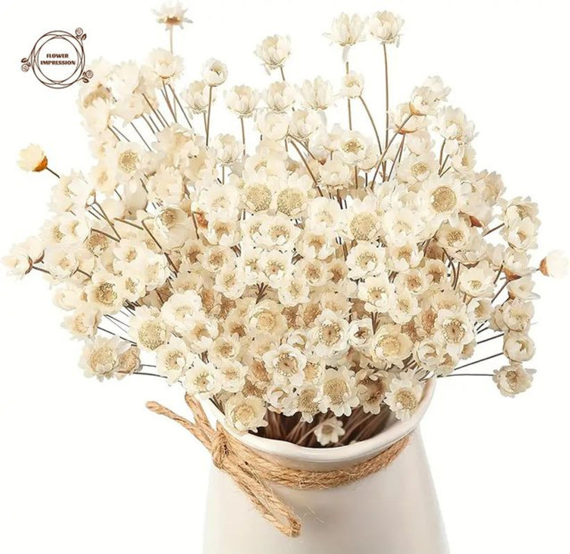 50 Stück getrocknete Blumen YN HI FLOWER ENJOY YOUR LIFE in Weiß, Bouquet aus Kamille und Chrysanthemen für Hochzeitsdeko und DIY-Dekoration - Bild 1