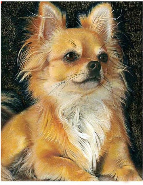 FIYO 5D DIY Diamantmalerei Chihuahua Hund als Kreuzstich-Strassgemälde, Mehrfarbig, B: 70 cm, H: 50 cm - Bild 1